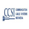 CCSI